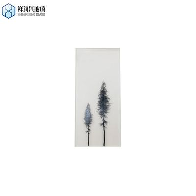 Vidro laminado de vidro único com fio curvo temperado para guincho de escada em espiral