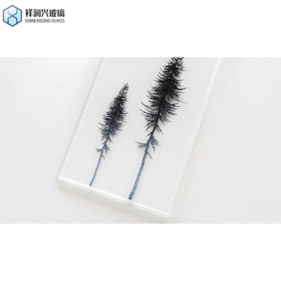 Construção de vidro painéis de parede borda plana polida 3-30mm transparente vidro laminado de segurança